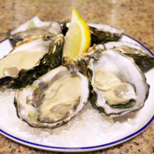 日本における牡蠣の産地（４）：兵庫県【随時更新まとめ記事】