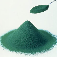 八重山クロレラは普通のクロレラと何がちがうのか？【亜鉛サプリ関連】