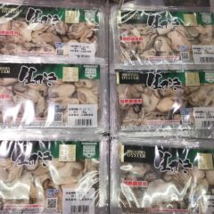 生かきの出荷がはじまっています。