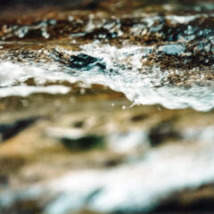 ウクライナと感染症 どちらも最後は自らの力で守るしかない：亜鉛サプリのすすめ