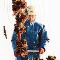 牡蠣がなくなる！？鍋物商材で唯一価格が上がっている真の理由