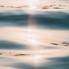 生かきが無くなると、急激に売れ始める亜鉛サプリ