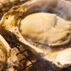 なお続くコロナ禍でも出生率が反転した国がある　亜鉛牡蠣サプリの動機と効果