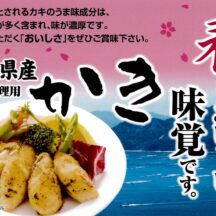 新しい男性向けサプリメントと牡蠣亜鉛サプリとの関係
