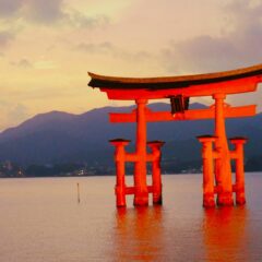 カキ大量死のニュースを受けて──いま改めて見つめ直す「牡蠣の恵み」とその未来