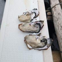 亜鉛はとりすぎてはいけない!過剰摂取に配慮したサプリを