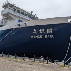 2026年9月18日の捕鯨TAC配分変更――ニタリクジラ153頭の内訳を読む