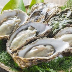 広島かき、11月2日の水揚げへ――局所的なへい死と最新検査をどう読む？